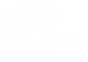 Flor-de-Luna-BLANCO